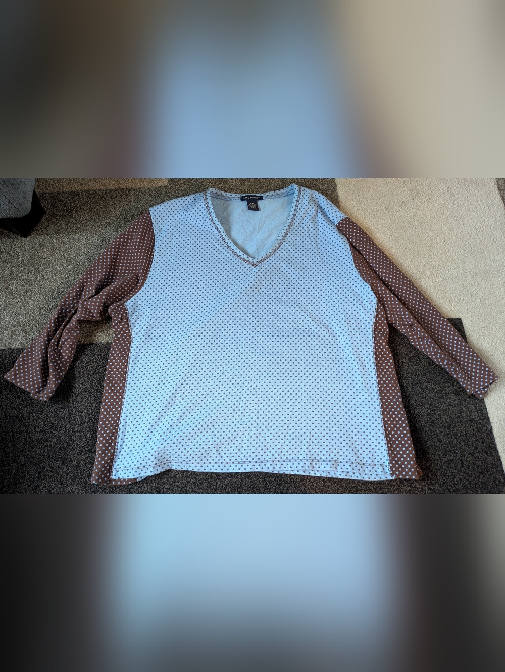 Blue Brown Polka Dot V-Neck Long Sleeve Top